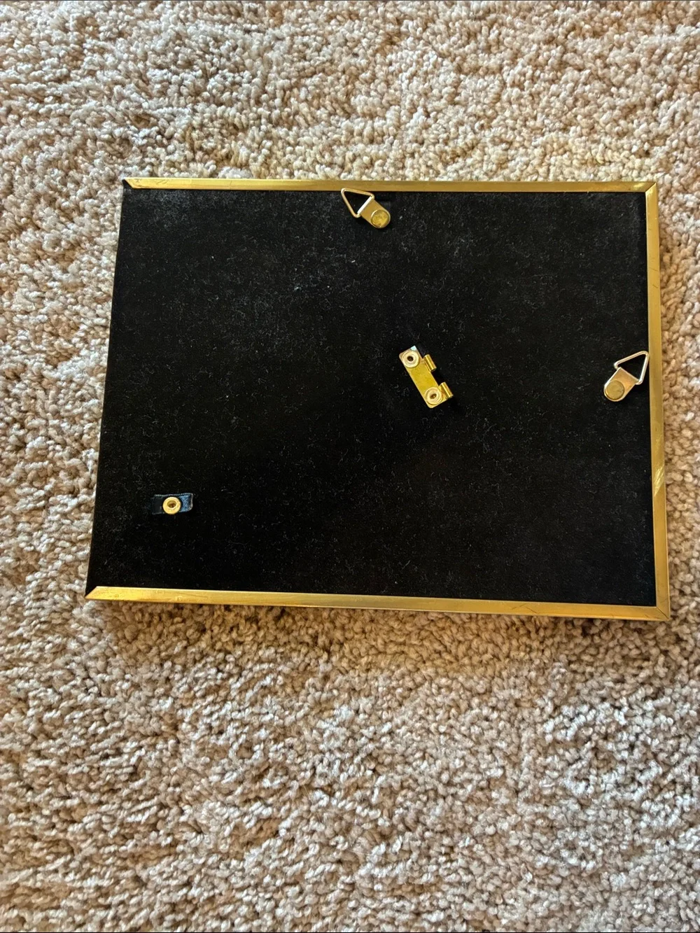 Gold Picture Frame with Coral Mat Accent